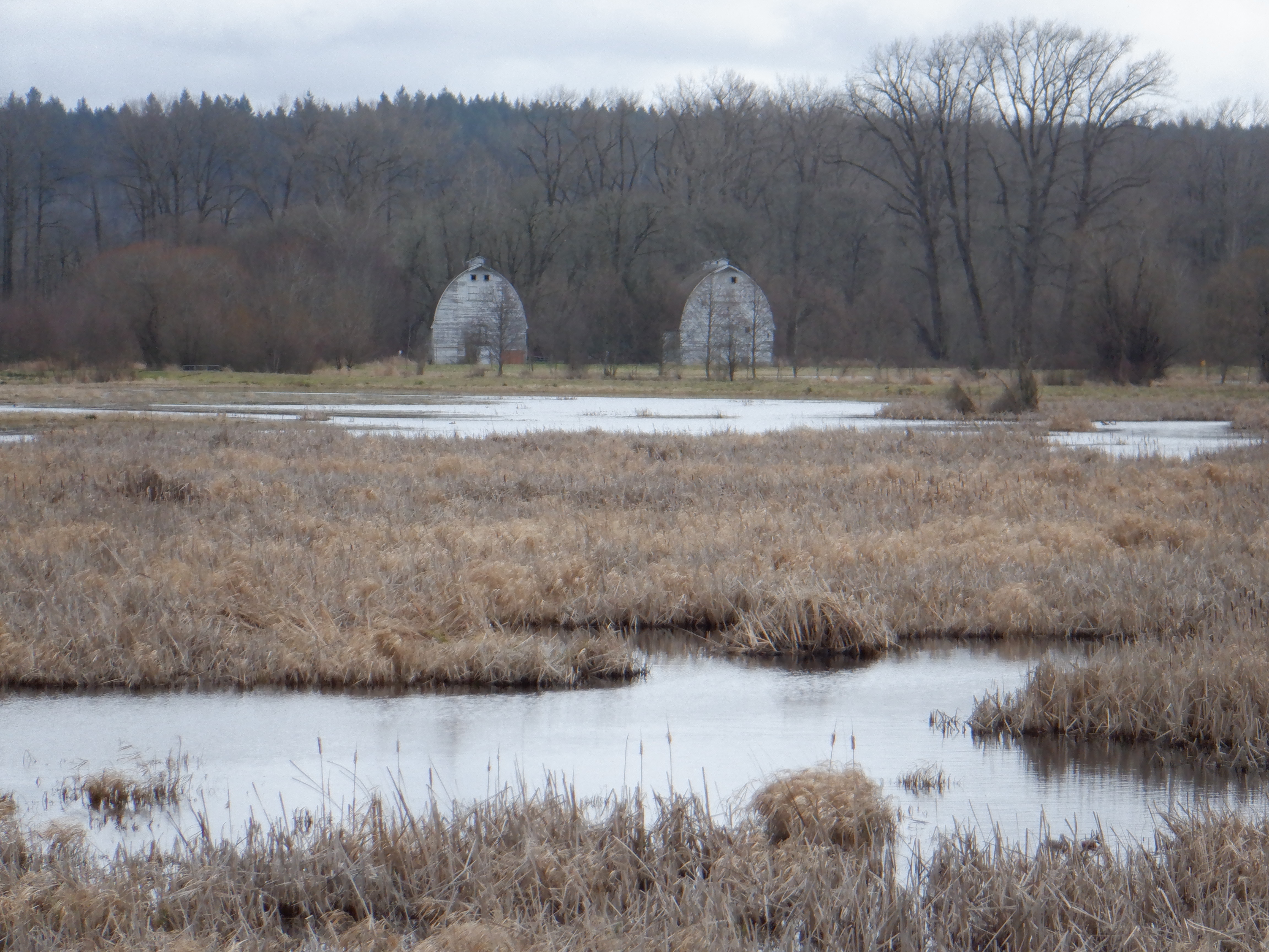 ./2020/03 - Seattle/DSCF1111.JPG